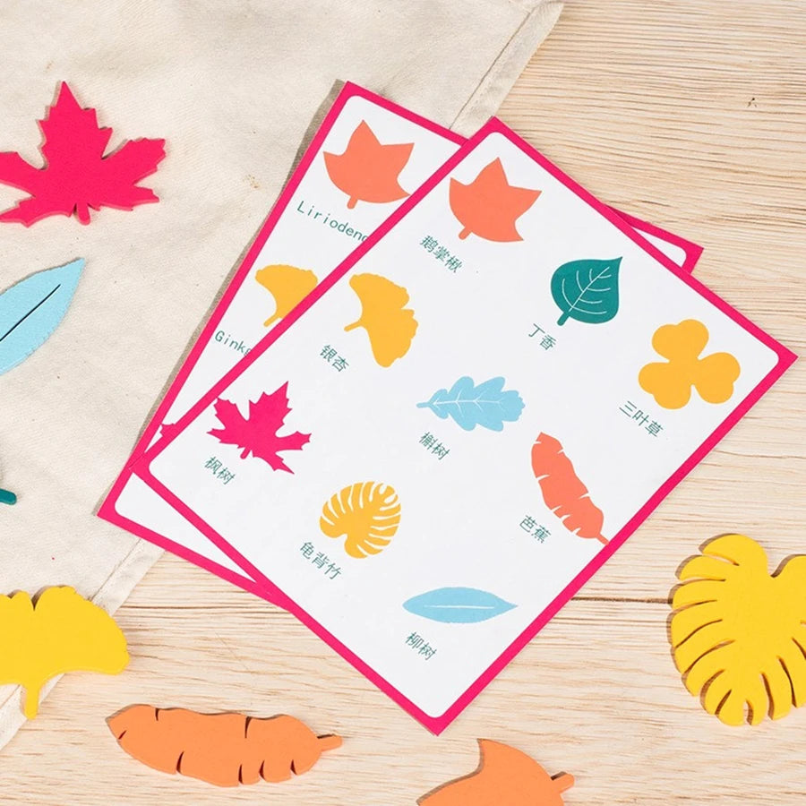 Leaf Recognition Set
