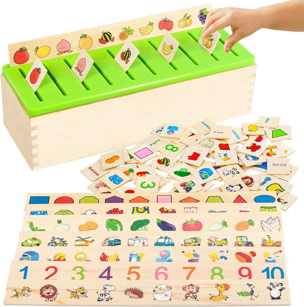 Montessori Sorting Box