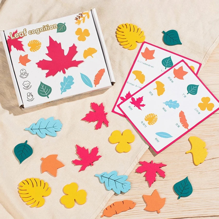 Leaf Recognition Set