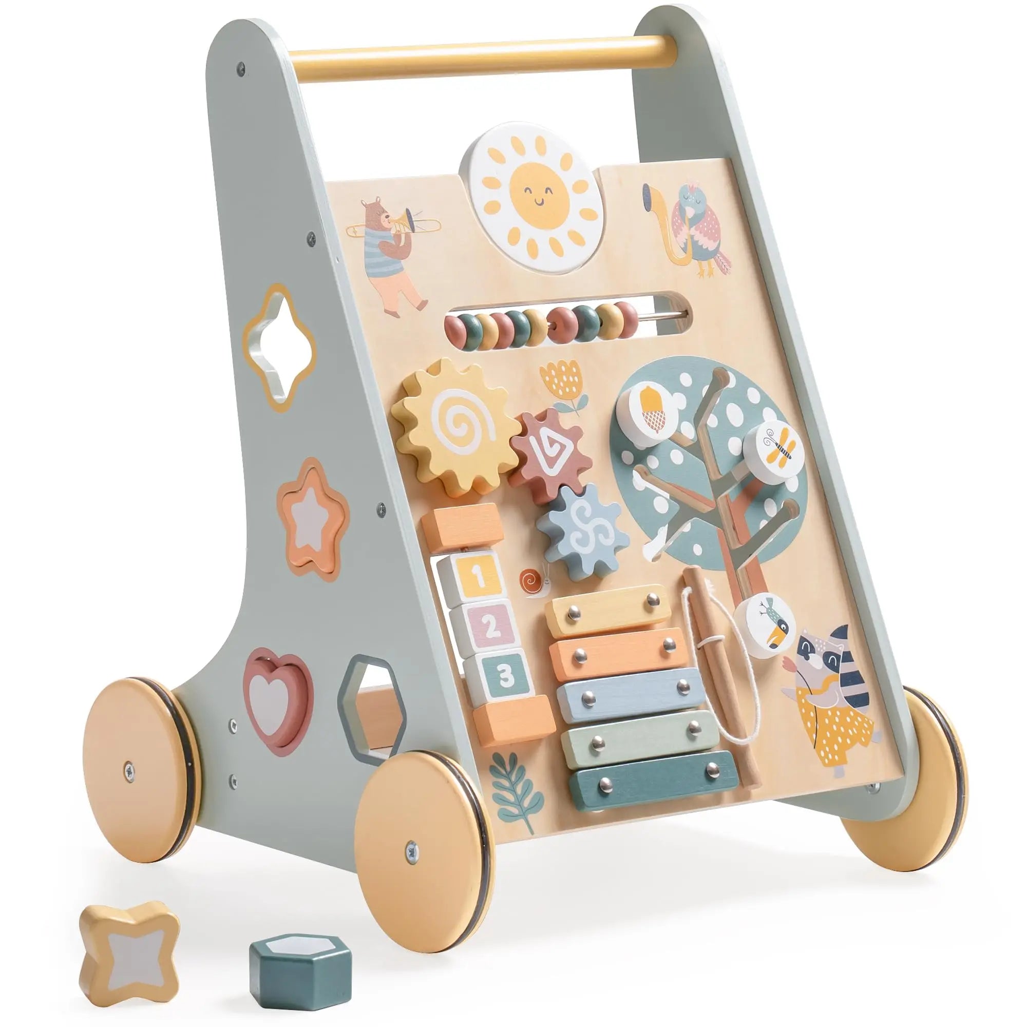 Activity Push Walker